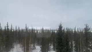 По данным ЦГМС, в Коми ожидается резкое ухудшение погоды 11 мая