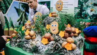 Межрегиональная выставка "Картофель-2025" пройдет в Чувашии 5-6 марта