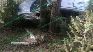 В Клепиковском районе Nissan вылетел на обочину и врезался в дерево