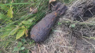 Боеприпас времён ВОВ обнаружили в Шацком районе