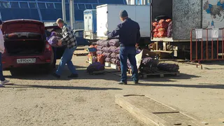 Владимирцам на заметку: 46% россиян не станут выращивать картофель даже при дефиците