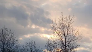 Стоит ли ждать в Рязани потепления в последние дни сентября?