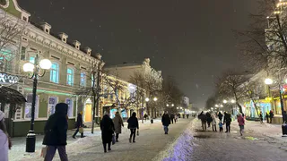 Куда пропала зима и выпадет ли снег до Нового года?: синоптик дал четкий ответ