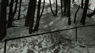 Бастрыкин потребовал доклад по делу о гибели ребёнка на тюбинге во Владимире