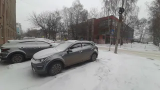 В Рязани 28 марта неожиданно выпал снег