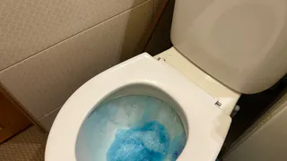 Уходя из дома, обязательно закидываю чайный пакетик в унитаз - полезный совет знакомой горничной