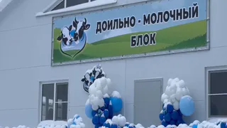 В Селивановском округе открыли новый доильно-молочный блок