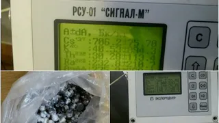 На клинцовском рынке торговали радиоактивными ягодами