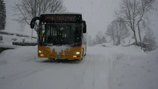 Рейсовый автобус, направляющийся в Рязань, столкнулся с грузовиком