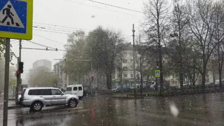 Жителей Рязани 7 ноября ждут гололед и осадки