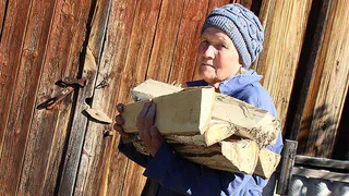 Генеральная прокуратура занялась дровами