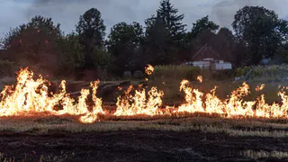 В Пензенской области объявили 4 класс пожарной опасности