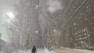 Снег, метель и перепады температуры ждут жителей Коми 11 января