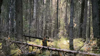 Охотник потерялся в лесу в Коми: спасатели нашли его с ожогами