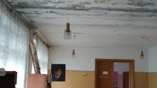 Активисты ОНФ показали ужасное состояние ДК в Климовском районе