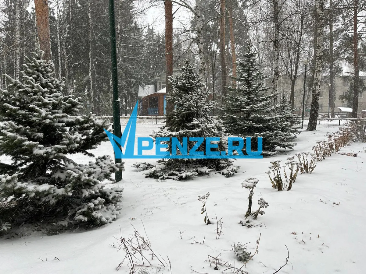 Сезон охоты на пушных зверей и кабанов подошел к концу