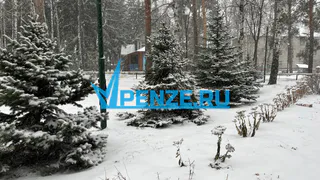 Сезон охоты на пушных зверей и кабанов подошел к концу