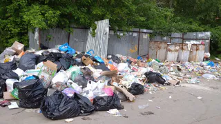 Бегают крысы: на Стройкова не вывозят мусор