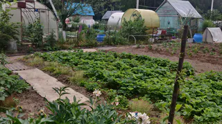 «Ваш сарай увидят через спутник - ждите штраф». С 1 марта вводится налог на бани и хозпостройки 