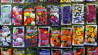 Дачникам на заметку: почему не стоит закупать семена зимой