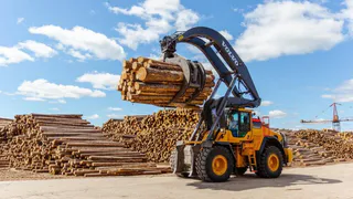 "Лузалес" из Коми вошёл в рейтинг лучших российских работодателей по оценке РБК