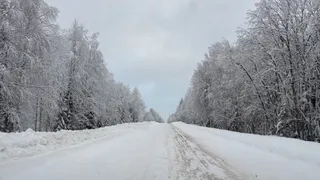 В Коми на смену морозной ночи придет потепление: прогноз погоды на 10 февраля