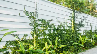 С 9 июня дачникам региона запрещено строить глухие заборы между участками