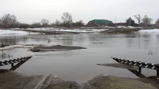 Уровень воды в Оке понизился  на 6 сантиметров