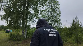 Шокирующий инцидент в Коми: после убийства матери задержан подросток