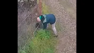 В Васильево продолжают выбрасывать щенков, несмотря на случай с покусанной школьницей