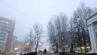 Дождливую и туманную погоду пообещали синоптики жителям Чувашии в четверг