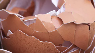 Замачиваю яичную скорлупу в уксусе на 48 часов: кусты только и ждут кальциевую еду для крепости корневищ - удобрение жирнее навоза