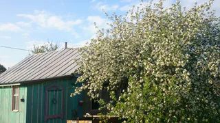 В Нижнекамске в садоводческие общества начнут ездить автобусы 