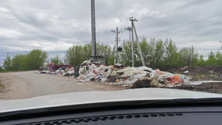 «Город превращается в помойку»: жительница Рыбного пожаловалась губернатору на грязь и ямы