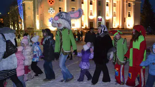 В Рязани"комендантский час" в новогоднюю ночь не отменят                     