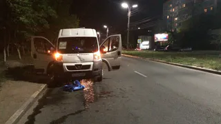 В Рязани на улице Зубковой водитель маршрутки сбил девочку