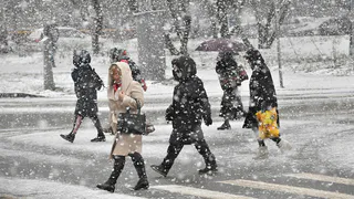 10 декабря в Рязанской области потеплеет до +1 градуса