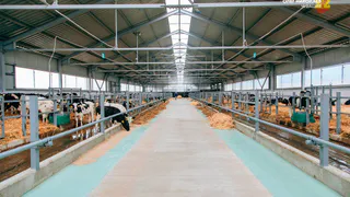 В Чувашии запустили пятилетнюю стратегию развития сельского хозяйства