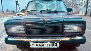 В Клепиковском районе сбили 76-летнюю пенсионерку