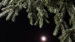 Морозы до -28 градусов: синоптики рассказали о погоде на 11 февраля в Челябинской области