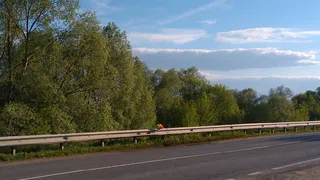 Гибель преподавателя РязГМУ: в ОМВД возбудили уголовное дело