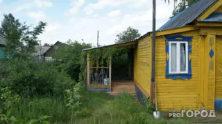 Пощады не ждите: штрафы за инструменты и садовую технику на даче