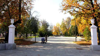 Любимов: через неделю в Рязани начнут выбирать территории для благоустройства