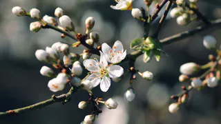 21 апреля в Рязанской области ожидается небольшой дождь и до +19