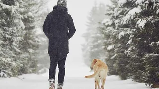 Чтобы не болеть: нижнекамские врачи советуют худеть, при этом есть 5 раз в день