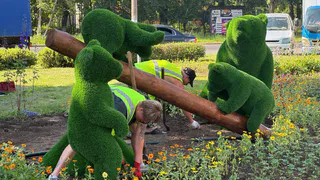 На въезде во Владимир появился зеленый ответ картине «Утро в сосновом лесу»