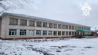 Девять детей отравились в Аликовском округе Чувашии