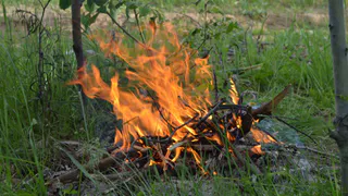 Рязанцам напомнили о штрафах за поджог сухой травы