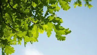 Очередная порция тепла задержится в Челябинской области только на несколько дней