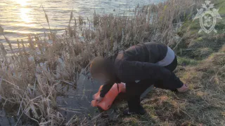 В Чувашии двое мужчин убили знакомого, утопив его в пруду